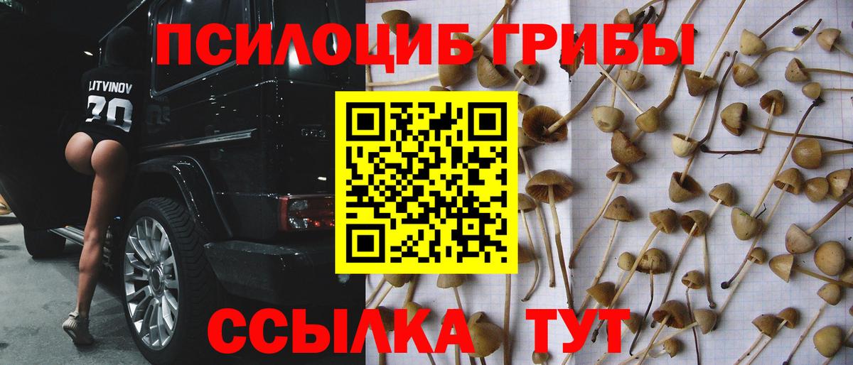 Псилоцибиновые грибы Psilocybine cubensis  Вход с VPN  Люберцы 